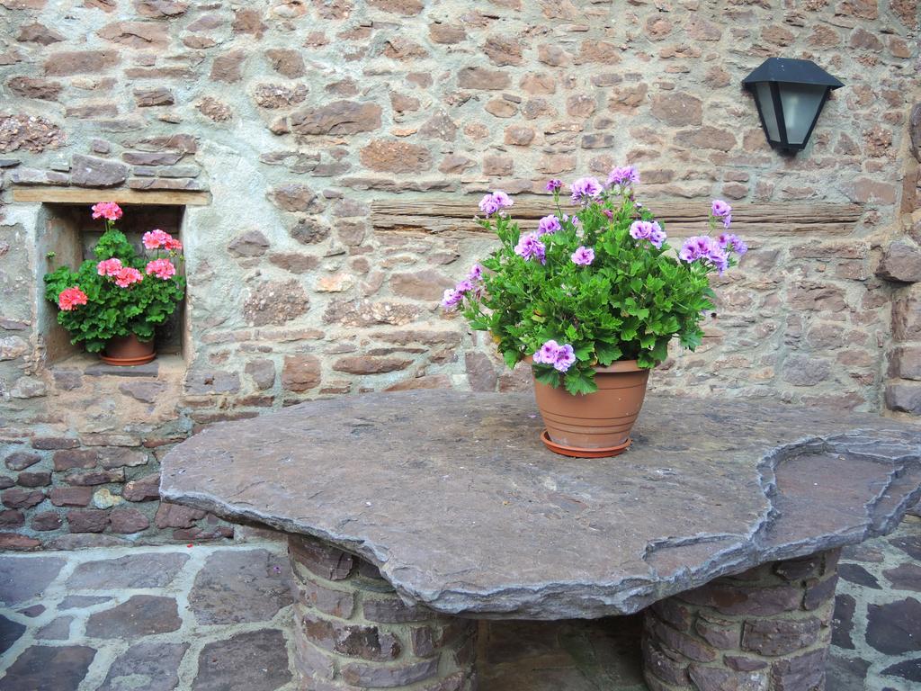 Turisme Rural Lo Palle De Cal Bosch Llagunes Екстер'єр фото