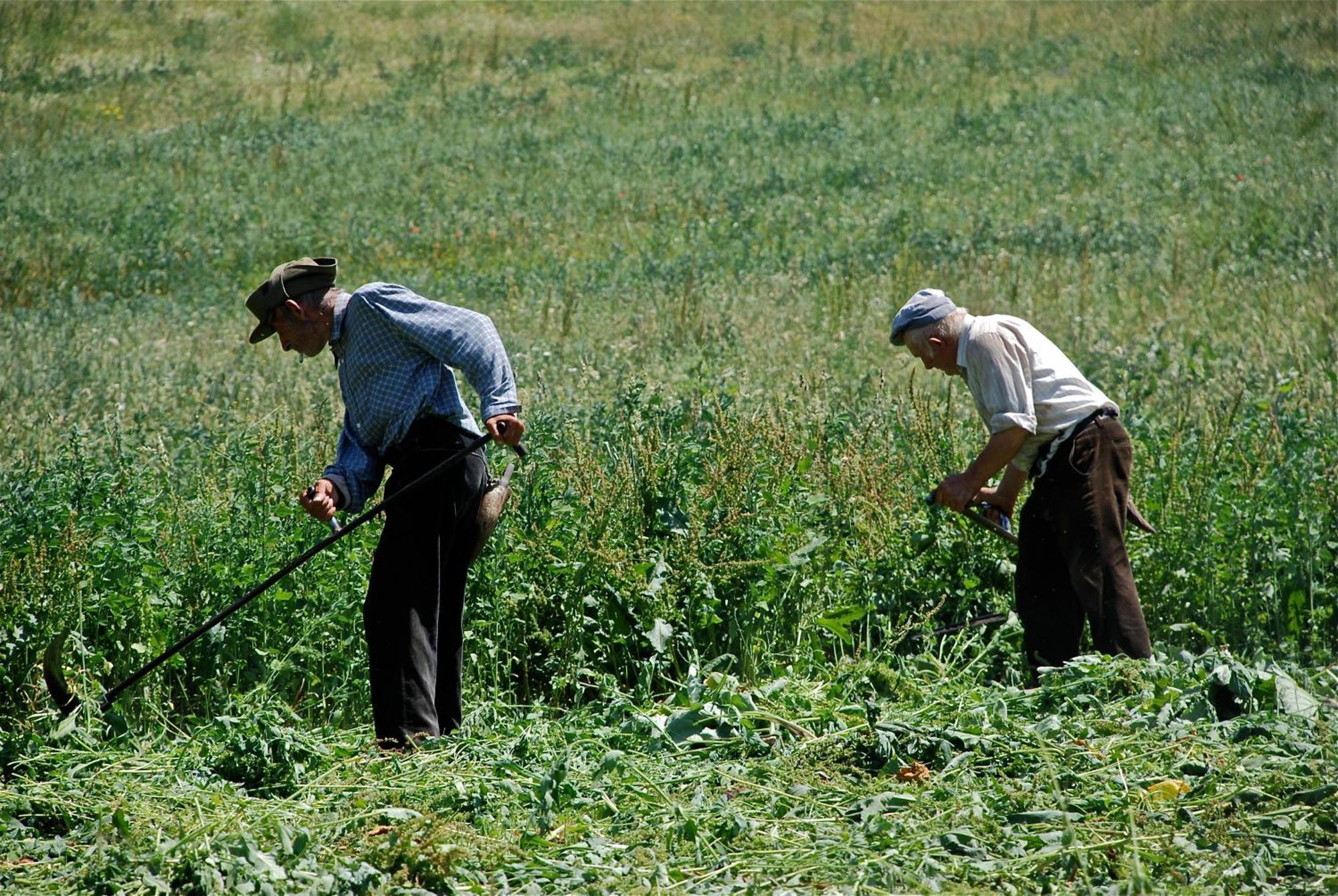 Turisme Rural Lo Palle De Cal Bosch Llagunes Екстер'єр фото