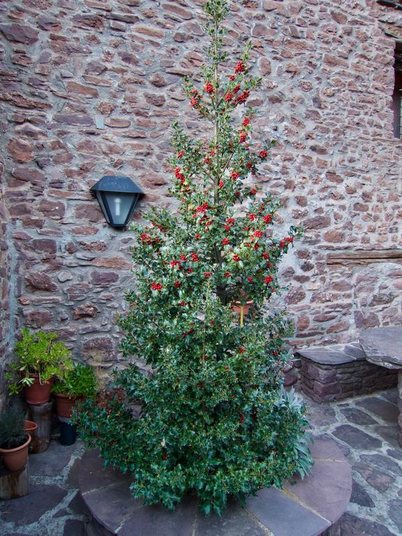 Turisme Rural Lo Palle De Cal Bosch Llagunes Екстер'єр фото