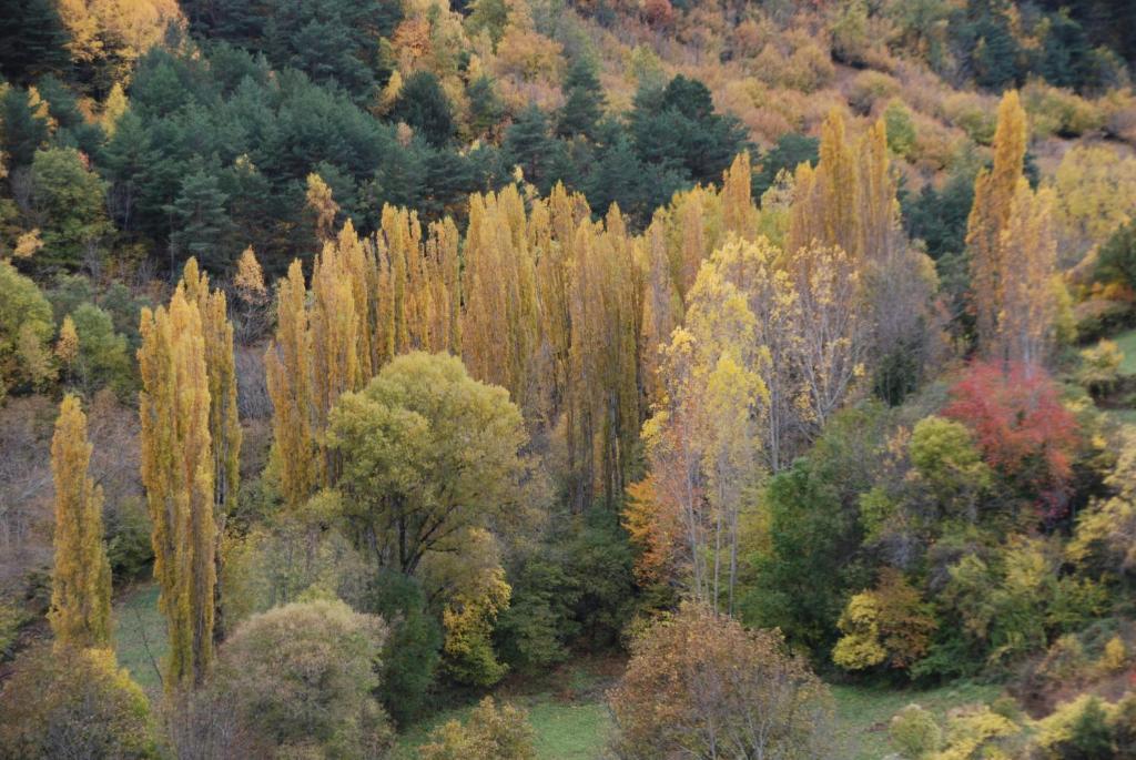 Turisme Rural Lo Palle De Cal Bosch Llagunes Екстер'єр фото