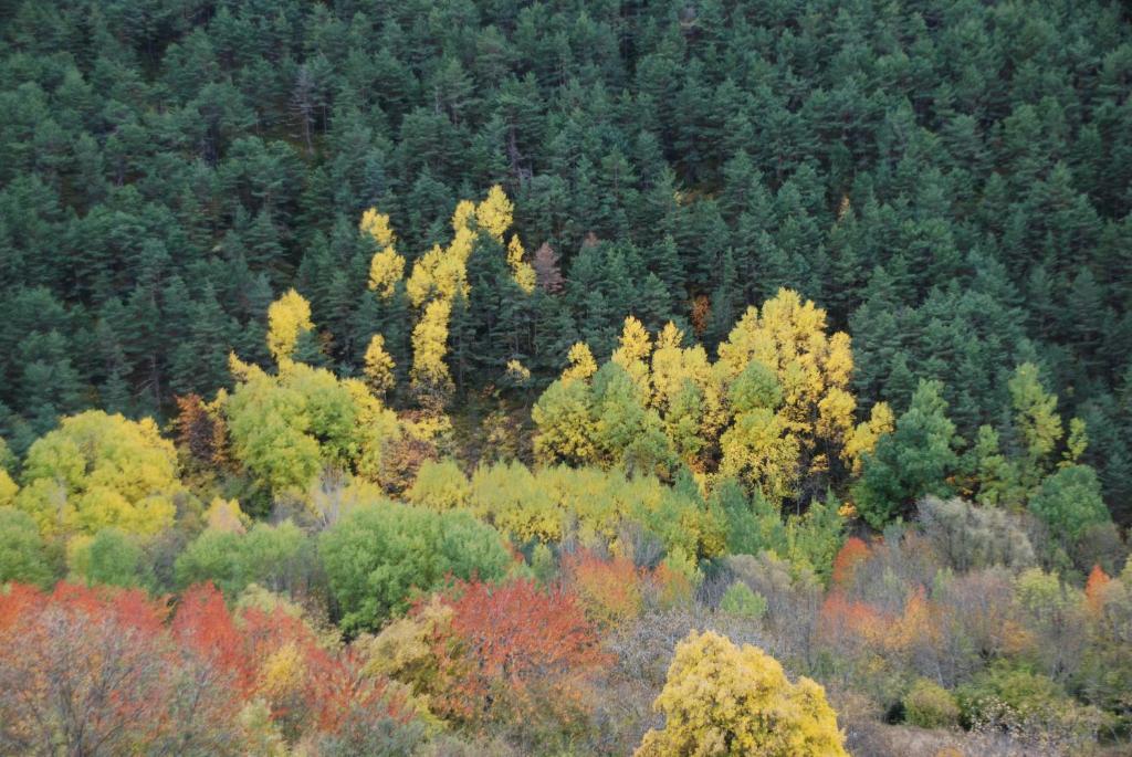 Turisme Rural Lo Palle De Cal Bosch Llagunes Екстер'єр фото
