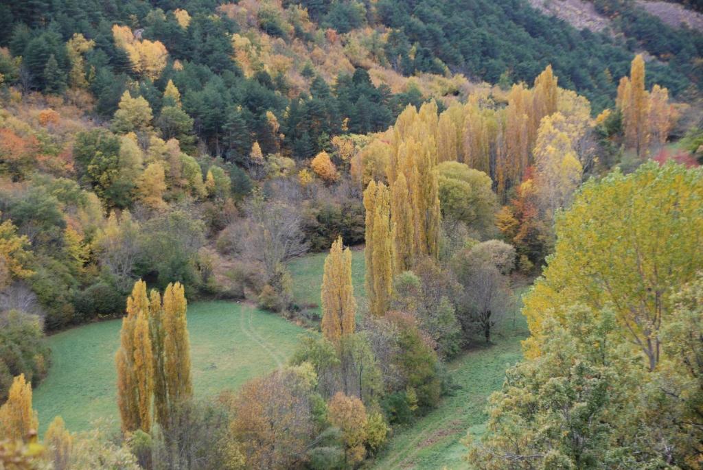 Turisme Rural Lo Palle De Cal Bosch Llagunes Екстер'єр фото