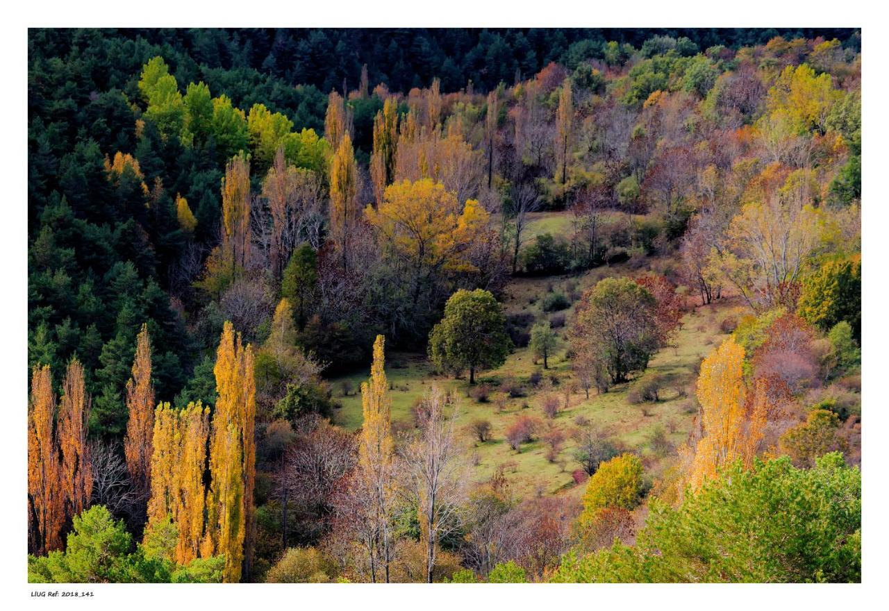 Turisme Rural Lo Palle De Cal Bosch Llagunes Екстер'єр фото
